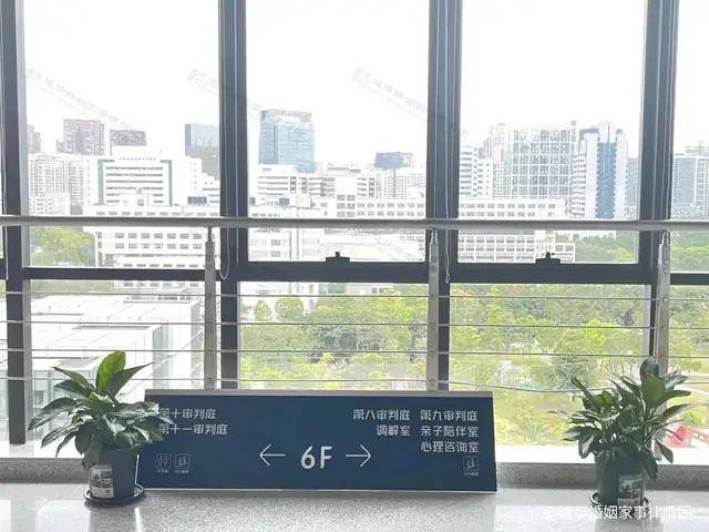 原配遇怀孕第三者索赔500万！广东道华律师事务所婚姻家事律师团唐云虹律师：三步助原配保全财产、和平维权(图3)